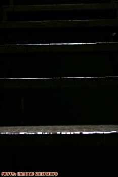 IMG_ (11055)